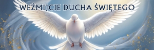 Baner na bierzmowanie (DE3309)