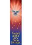 Baner na Bierzmowanie (D10010)