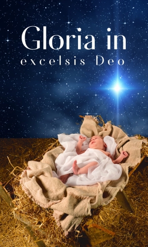 DE3107 - BOŻE NARODZENIE (0,9x1,5) (1).jpg