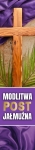 Baner (DE3201)