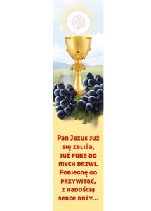 Baner-I Komunia Święta (D11019)