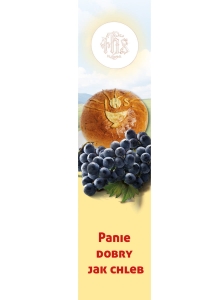 Baner -I Komunia Święta  (D11020)
